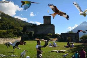 Maisons de vacances Maison familiale au coeur des Pyrenees ! : photos des chambres