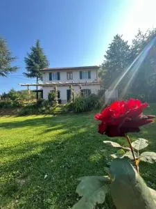 La rosa sul lago - Calizzano