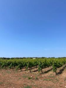 La Casa dei Francesi