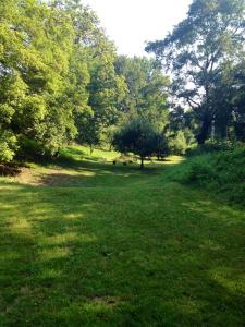 Visegrádi nyaraló nyugalomra vágyóknak