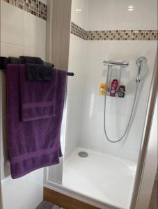 Appartements Chez Pascal et Louna au calme ! Near Paris, transport RER B, Roissy CDG Airport, Disneyland : photos des chambres