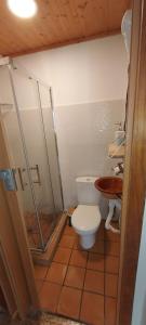 Rocio Rooms