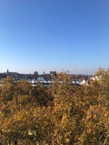 Appartements Studio hyper centre avec Parking : photos des chambres