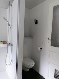 Charming house with garden