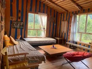 Cabañas Las Musquetas - Puerto Ramírez