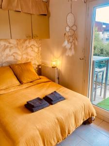 Joli studio avec grande terrasse et parking