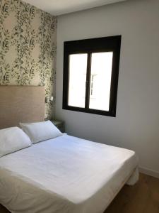 Apartamentos Los Dragos - Planta 2