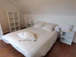 Maisons de vacances Les Brassins du Dillon : photos des chambres