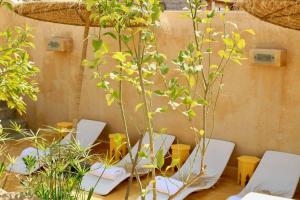 Riad MONDRIAH in exclusivity only for you