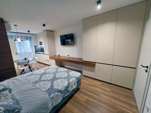 Studio Apartman Petrinja