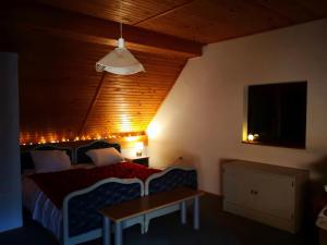 Ski Cottage 