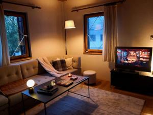 Ski Cottage 