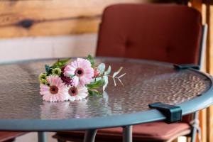 Wellness hiša Jelenov Grič