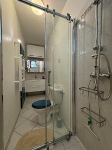 Appartements Joli studio centre-ville : photos des chambres