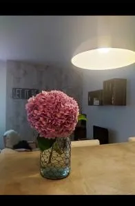 Apartamento en planta baja de chalet - Berango