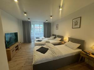 Apartmán Strážske s balkónom