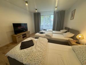 Apartmán Strážske s balkónom