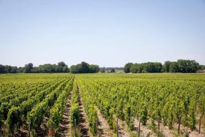 Maisons de vacances Chateau Malescasse : photos des chambres