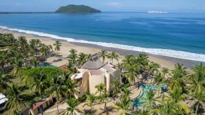 Marvelous Mar de Coco Areca 101