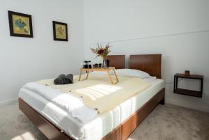 Cozy Apartment Malta Lake with Parking - Rentujemy