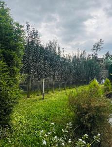 Weber Generation Naivasha - R&R Cosy Homes