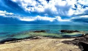 Oleza garden - Playa Flamenca