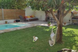 Villas villa piscine proche des plages : photos des chambres