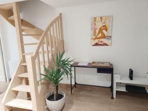 Appartements Le petit cocon : photos des chambres