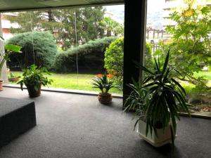"Sweet Caroline" intero monolocale a COMO-mq 41- ideale per due persone , con garage privato