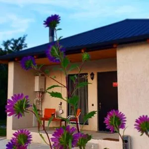 Guest house "Soulmate" - Ambrolauri