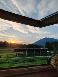 Apartment Katja - Zalog