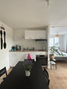 Appartements Agreable Studio proche Aeroport de Bordeaux : photos des chambres