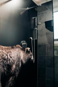 Ferienappartement im Thüringer Wald