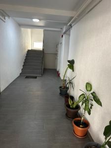 Garsonieră Tudorache Premium