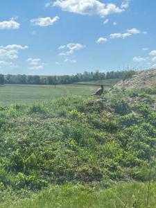 Apartmán Charme du vin