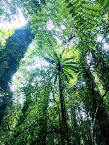 Coastal Creations at York, 2bed Apt, 450m to Beach