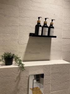 Brooklyn Suite with Private Entrance