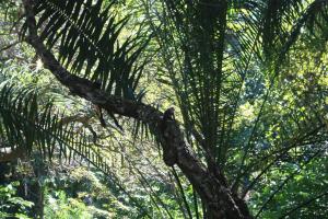 Loft na Mata - A melhor experiência à 5 min da praia