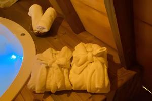 Chalé dos Alpes 1 hidromassagem e Lareira