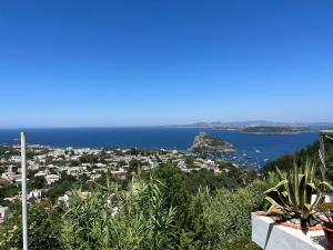 Junior Suite con Terrazza e Vista Mare