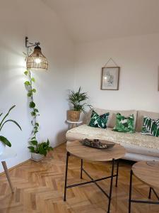 GreenZen reset space