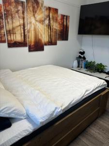 Condo in Heart of Inkoo Center, With Sea View and Boat!