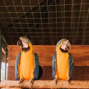 Terras Verdes Hospedagem - Chalé Família - 圣湖镇