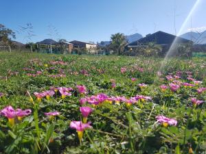 Camp Jakkalsfontein - Entire farm & Campsite