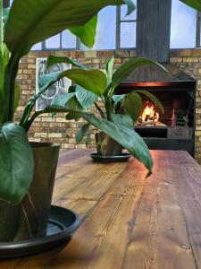 Camp Jakkalsfontein - Entire farm & Campsite