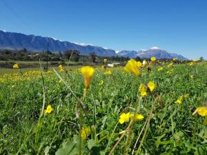Camp Jakkalsfontein - Entire farm & Campsite