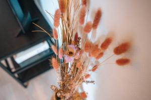 Appartements LE PETIT VOLTAIRE - Proche Centre Ville - Spacieux : photos des chambres