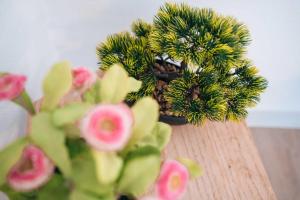 Appartements LE PETIT VOLTAIRE - Proche Centre Ville - Spacieux : photos des chambres