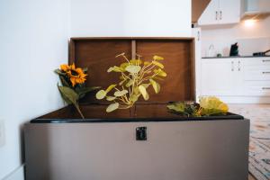 Appartements LES PETITS ROYS - Proche centre ville - Cosy : photos des chambres