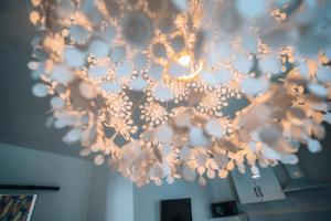 Appartements LES PETITS ROYS - Proche centre ville - Cosy : photos des chambres